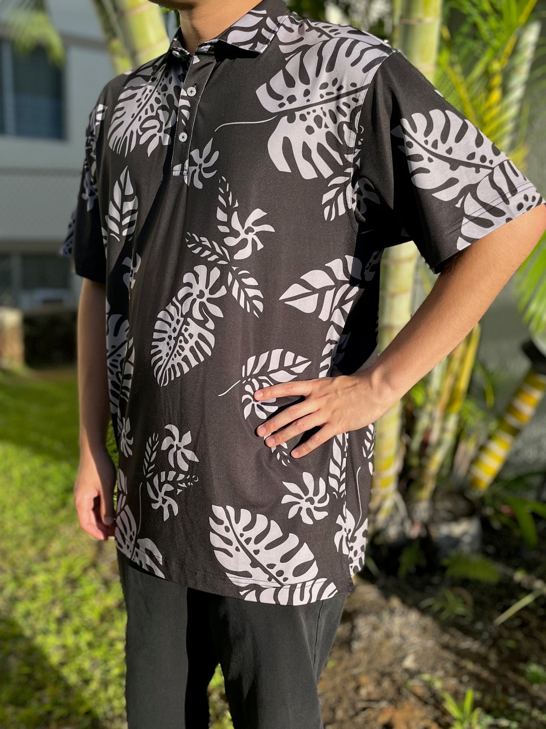 Monestera - Sale! image 2